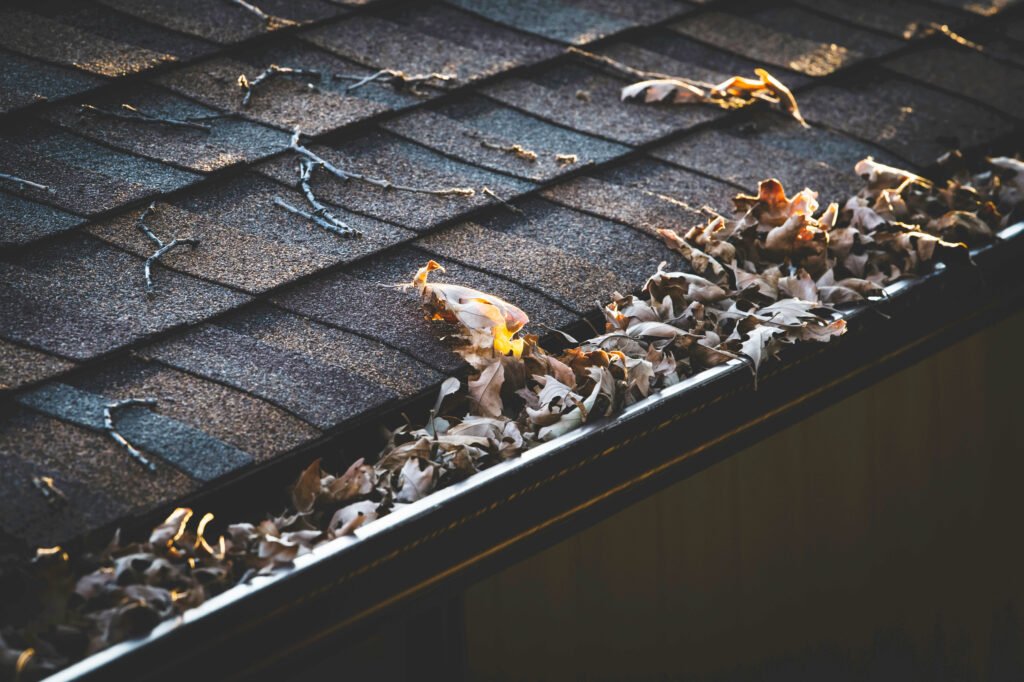 Gutter cleaning