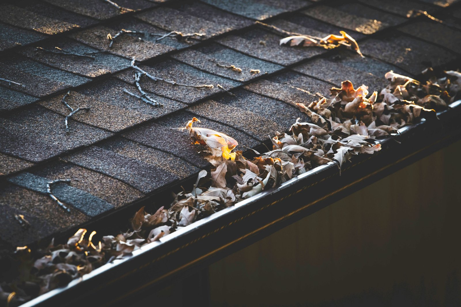 Gutter cleaning