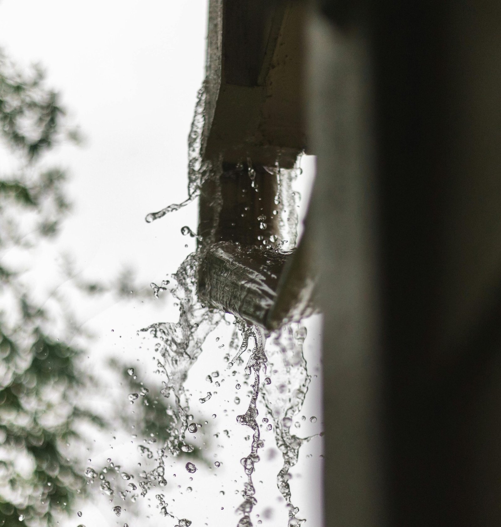 Gutters that need replacement